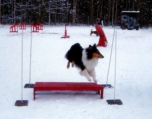 Donna training agility