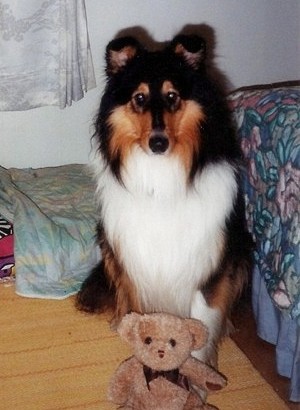 Jack at 1,5 years