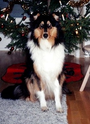 Jack at 2 years