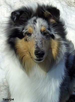 Kalle at 6 months