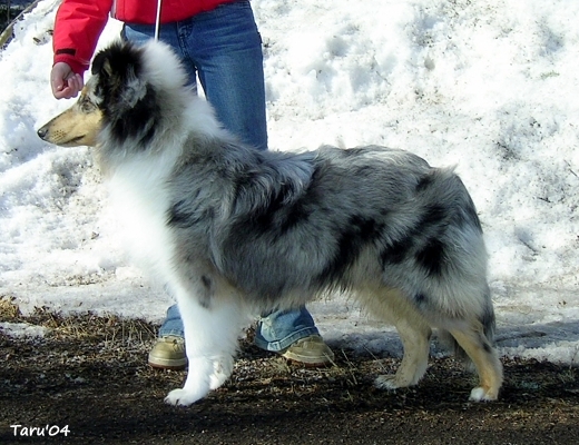 Kalle at 6 months