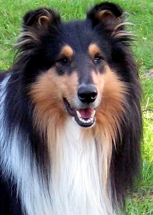 Leevi 3 v.