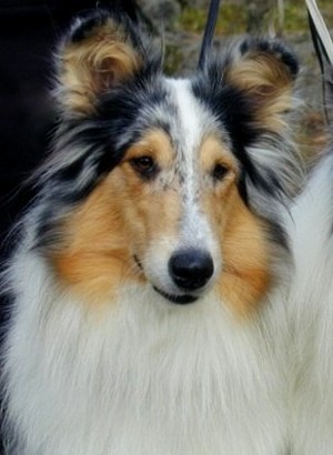 Minni at 2,5 years