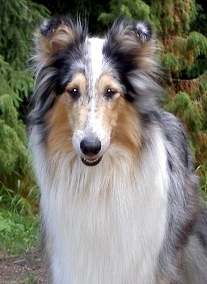 Minni at 3,5 years