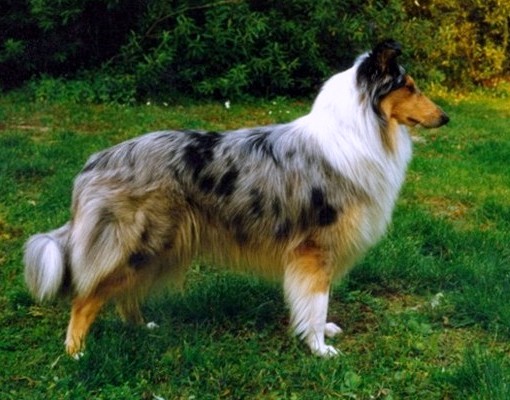 Minni at 2,5 years