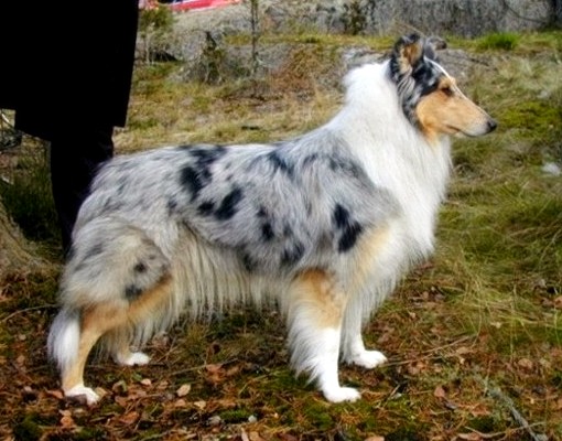 Minni at 2,5 years