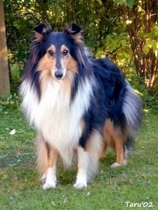 Moona at 2,5 years