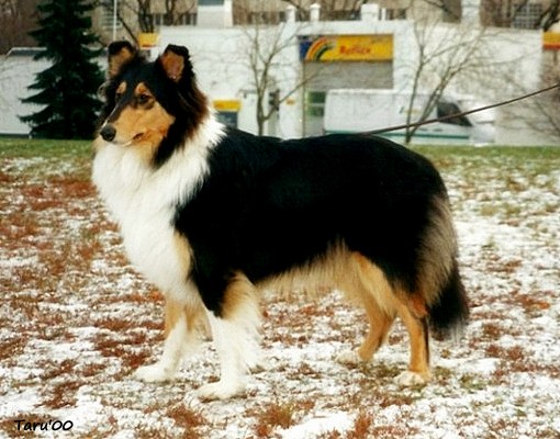 Moona at 9 months