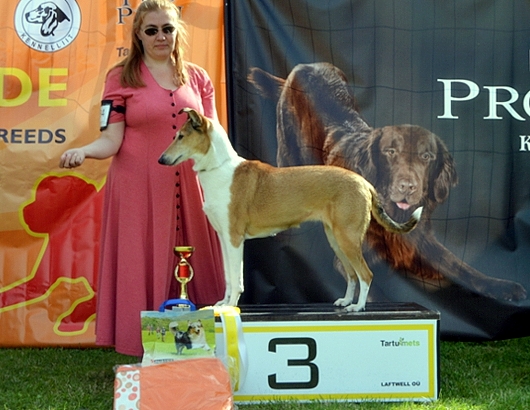 Tella RYP3, Tartu Eesti 2.8.2015