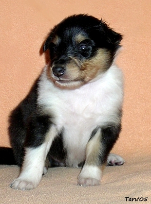 Rebecca at 4 weeks