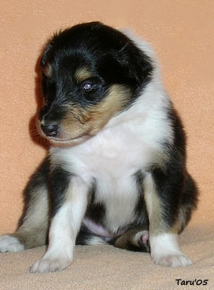 Rebecca at 4 weeks