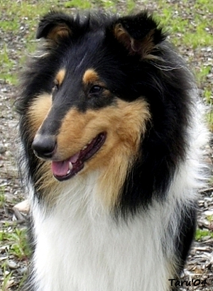 Remy at 9 months