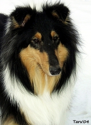 Rhonda at 17 months