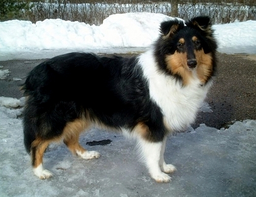 Rhonda at 6 months