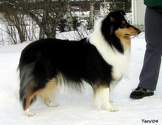 Rhonda at 17 months