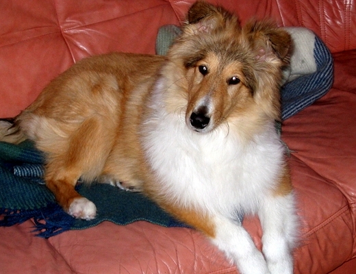 Roni at 5 months