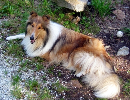 Roni at 2 years
