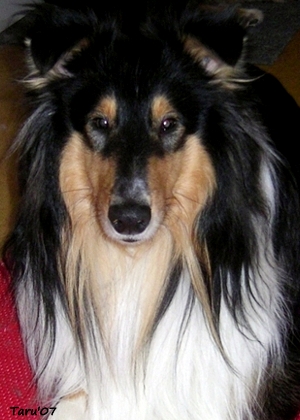 Ronnie at 16 months