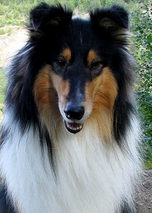 Ronnie at 2 years
