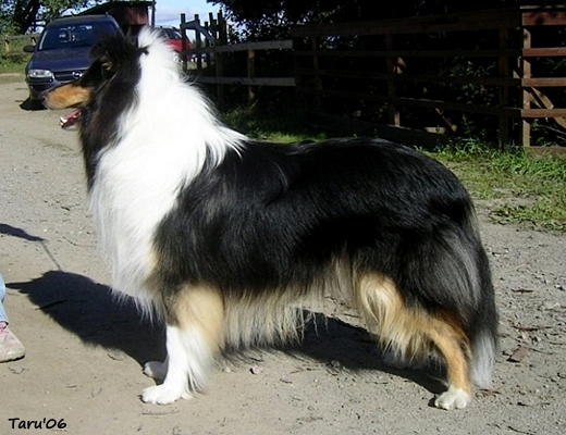 Ronnie at 11 months