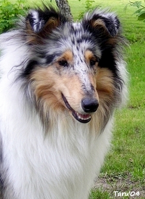 Taika at 10 months