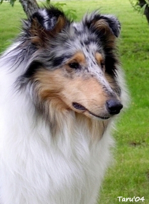 Taika at 10 months