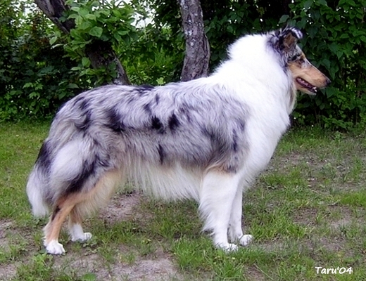Taika at 10 months