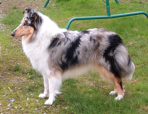 Taika at 11 months
