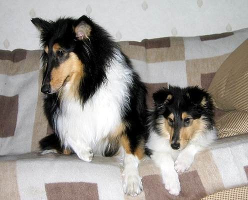 Tara 9 kk ja pieni kaverinsa Jolanda