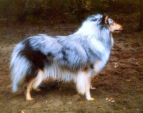 Aida at 2 years