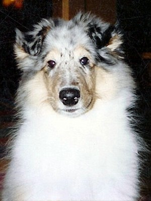 Dino at 3 months