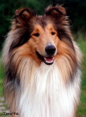 Eppu at 10 months