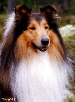 Eppu at 3 years