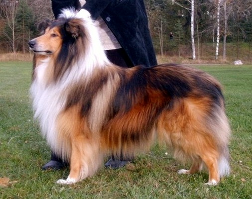 Eppu at 6 years
