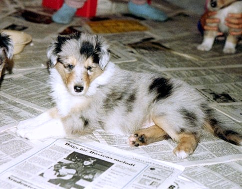 Jacky at 5 weeks