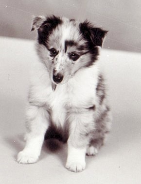 Jammu at 2 months