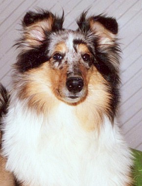 Jammu at 8 months