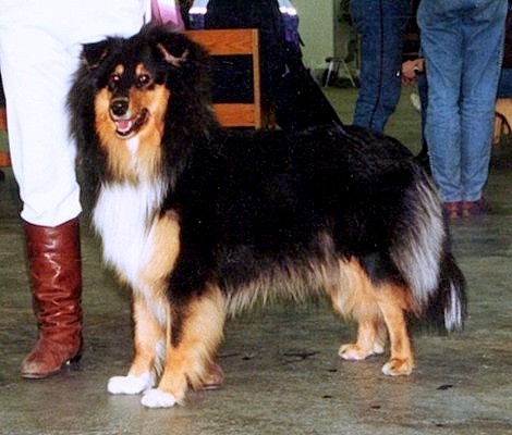 Jasmie at 11 months
