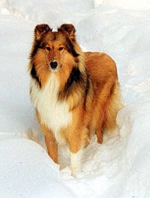 Lily at 12 months