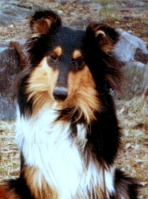 Pete at 8 months