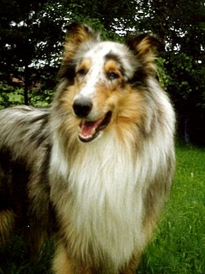 Ransu at 11 months