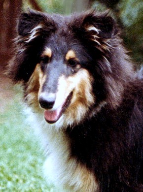 Roni at 6 months