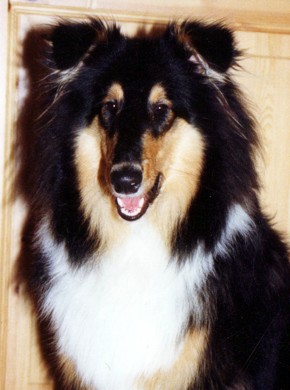 Roni at 9 months