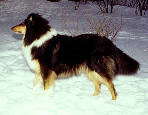 Roni at 9 months