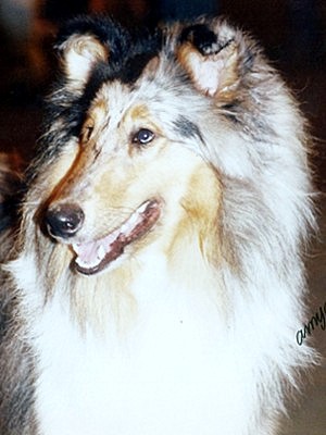 Sebu 9 kk