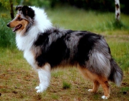 Speedy at 9 months