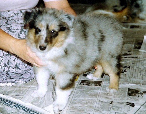 Lady at 7 weeks