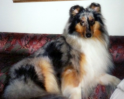 Lady at 12 months
