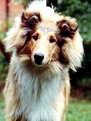 Timi at 5 months