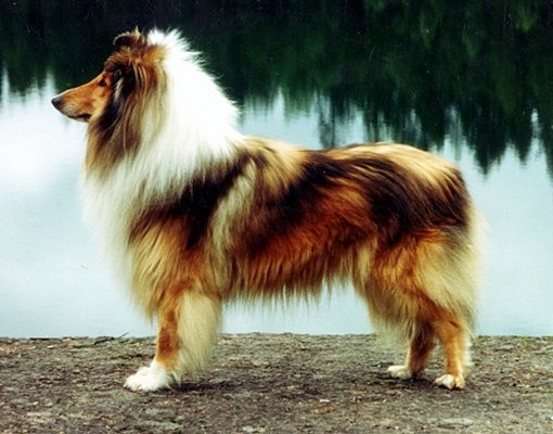 Timi at 3,5 years
